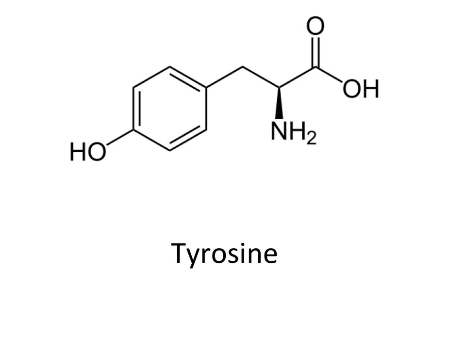 Tyrosine in ABSlim